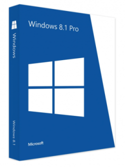 Microsoft Windows 8.1 Professional – Business-Class Operating System with Lifetime License
